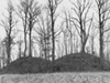 Pinson Indian Mounds