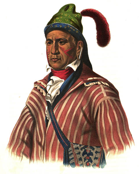 Menawa