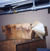 Water Damage Photo