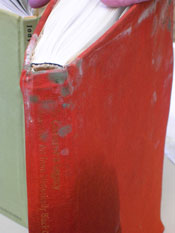 Water Damage Photo