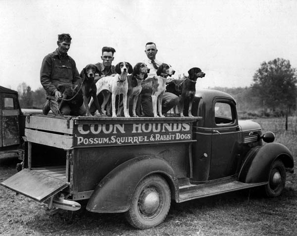 Coon Dog Field Trials