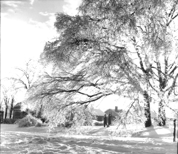 Nashville blizzard, 1951