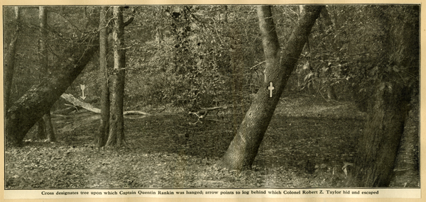 Rankin tree