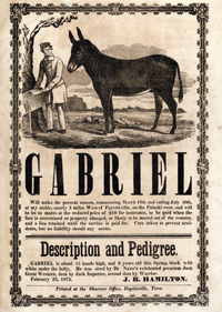 Gabriel Broadside