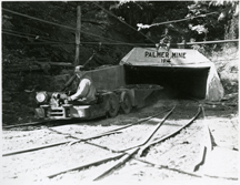 Palmer Mine