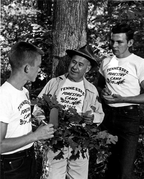 James L. Bailey, Donald Pitts, and James King