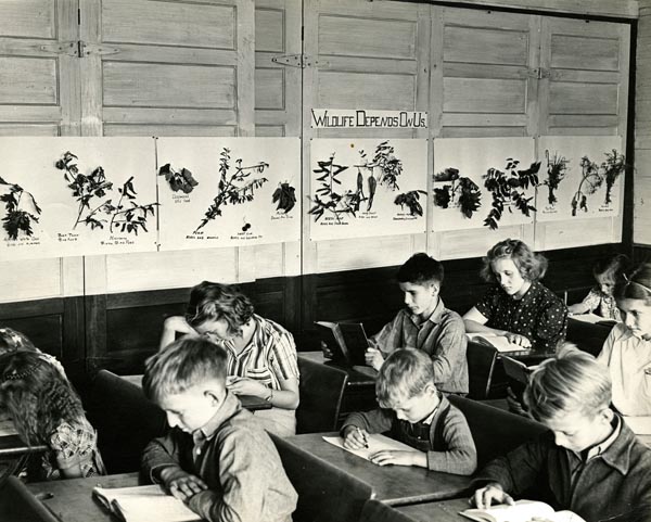 Conservation education