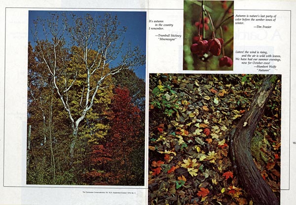 Tennessee Conservationist, September/October 1978