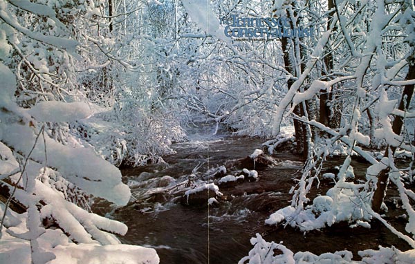 Tennessee Conservationist, January/February 1979