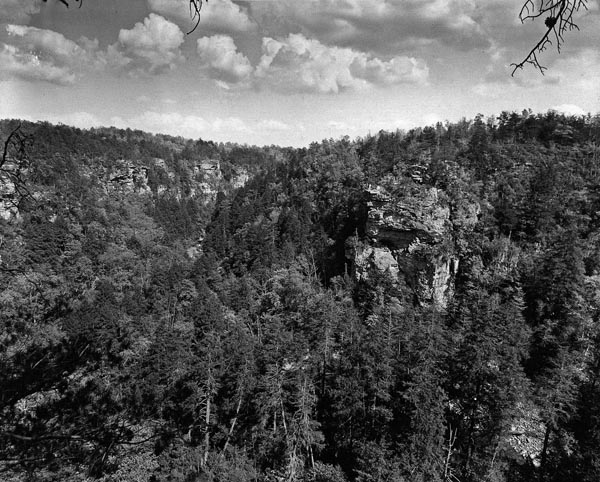 Chesser Point at the Fall Creek Gulf
