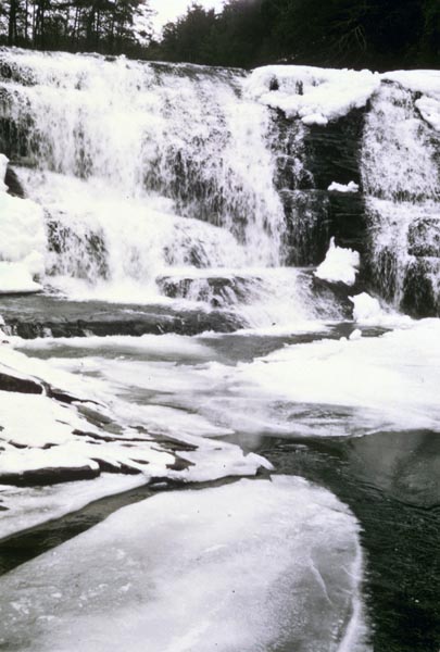 Cane Creek Cascades