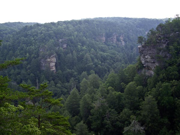 Chesser Point at the Fall Creek Gulf