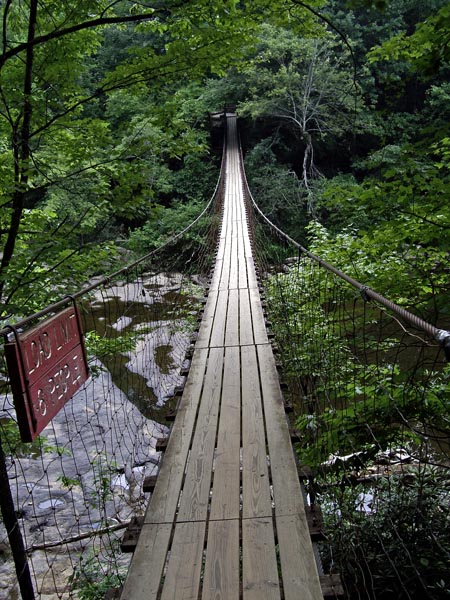 Suspension bridge over Cane Creek Cascades