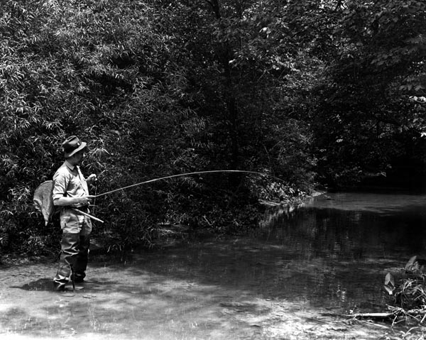 Fishing at Montgomery Bell State Park