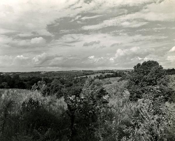 Looking northeast from the Old Natchez Trace