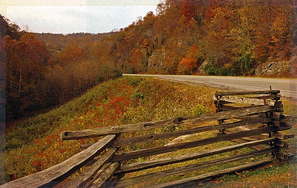 Fall foliage