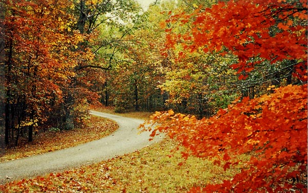 Another beautiful fall scene