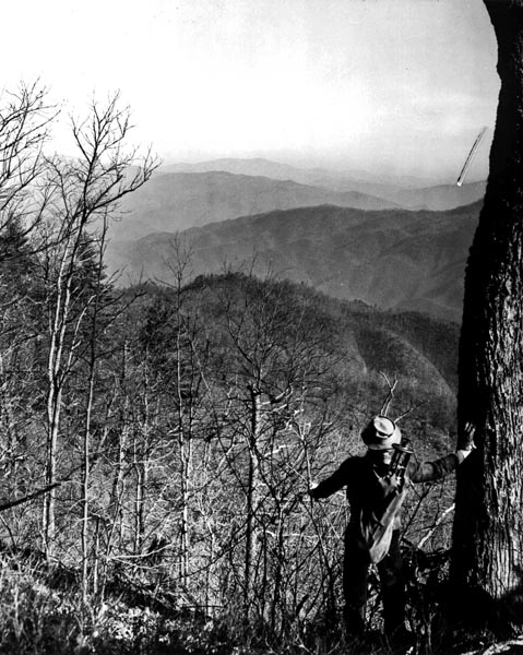 Hiking in the mountains