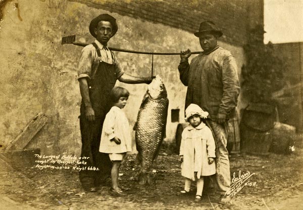 Buffalo fish