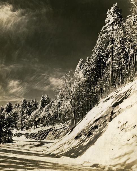 Snow-covered Clingman's Dome Highway