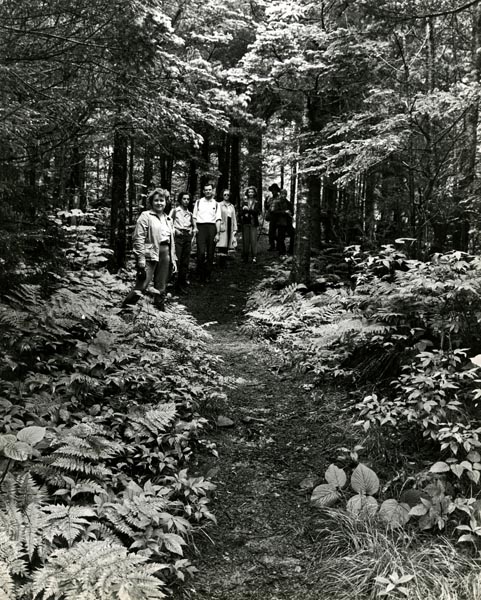 Hikers on the trail to Andrew's Bald