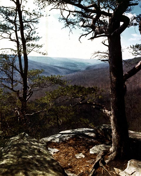 Great Smoky Mountains National Park