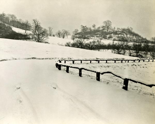 Snowfall in Percy Warner Park