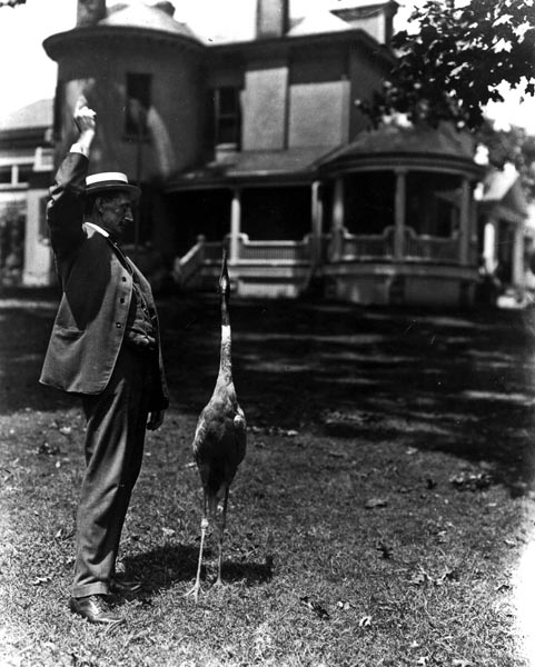 Percy Warner