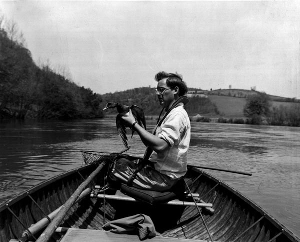Bill Dryer inspects a crippled Blue Bill duck on the Holston River