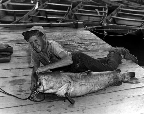 Bill Parish, of Savannah, shows a 54 lb. yellow flathead catfish caught near Pickwick Landing Dam