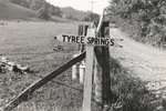 Tyree Springs Sign