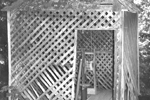 Craggie Hope old well