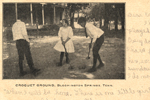 Bloomington Springs Croquet