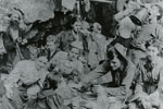 Picnic Group