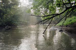 Wolf River