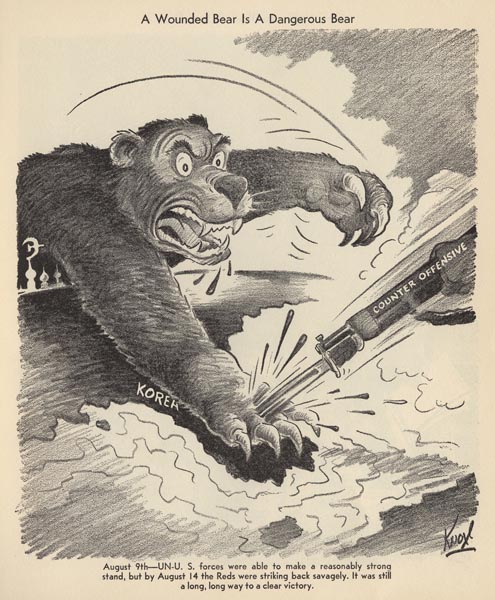 A Wounded Bear Is A Dangerous Bear