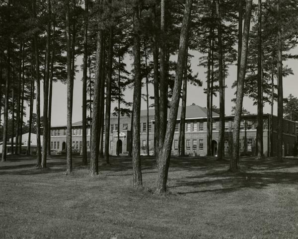 Alvin C. York Institute